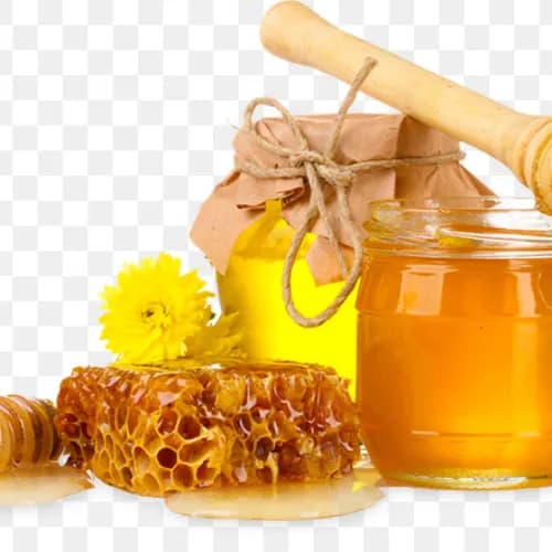 Fresh Organic Sidr Honey 350ml