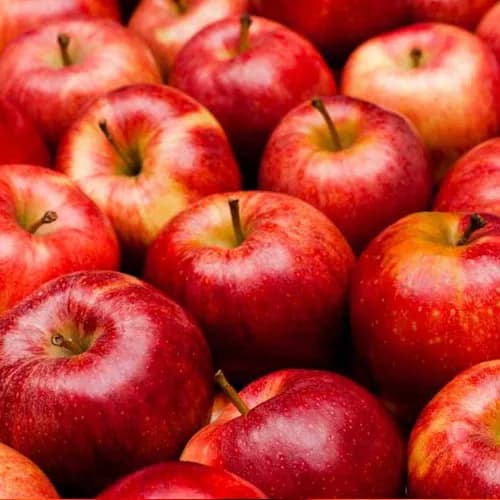 Apple Red 1 Kilo