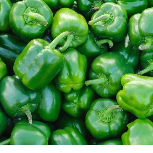 Capsicum Green 500 Gm