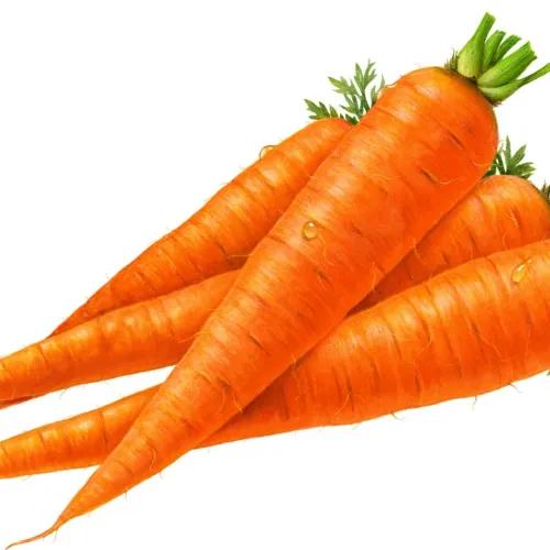 Australian Carrot 500 Gm