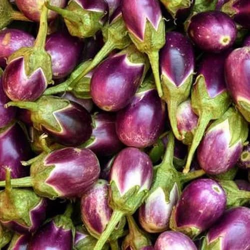 Brinjal 500 Gm