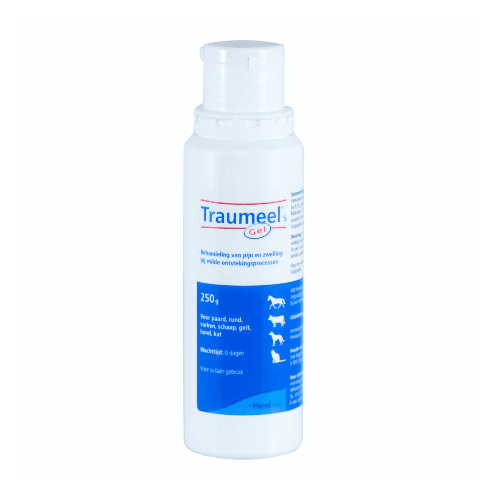 Traumeel Gel 250Ml