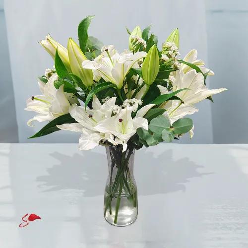 White Lily Love