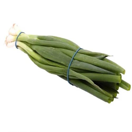 Spring Onion 1 Bunch