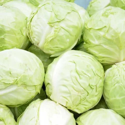 Cabbage 500 Gm