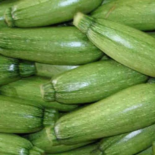 Marrow Zucchini 500 Gm