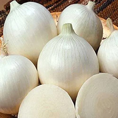 White Onion 1 Kg