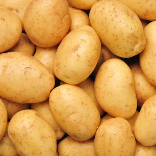 Potato 1 Kilo