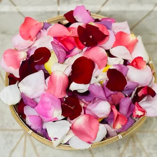 Rose Petals