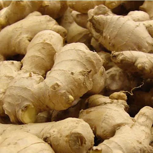 Chinese Ginger 250 Gm