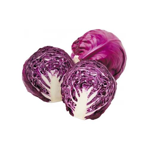 Cabbage Red Imp Approx 1Kg