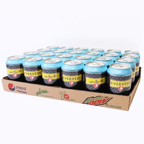 Evervess Club Soda 330 ML x 24