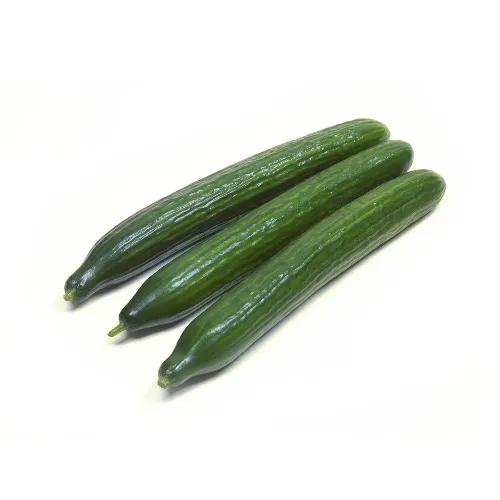 Cucumber Long Imp Approx 1Kg