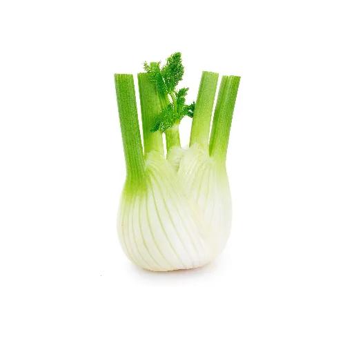 Fennel Imp Approx 500G