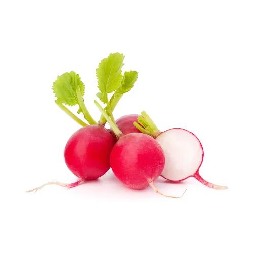 Radish Red 1 Kg Holland Approx 1Kg