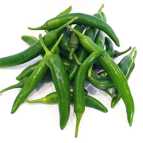 Chili Green Long Jordan Approx 500G