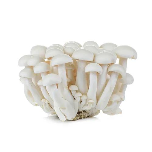 Mushroom Shimeji (White) Approx 125G