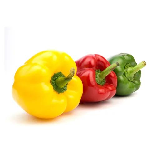 Capsicum 3 Colors Approx 310G