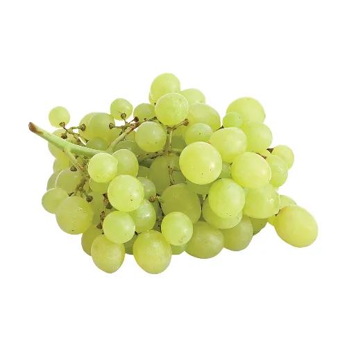 Grapes White Lebanon Approx 1Kg