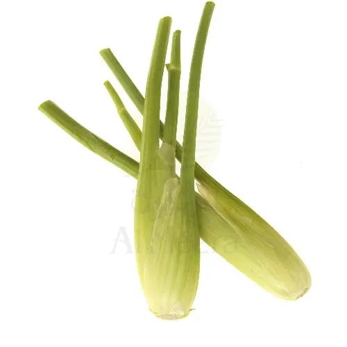 Baby Fennel Pack Approx 200G