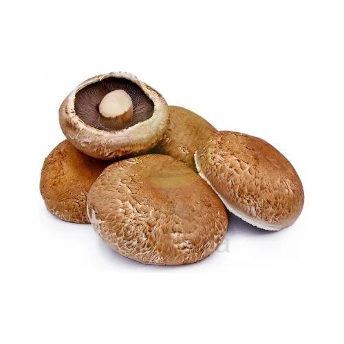 Mushroom Portabello Approx 1Kg