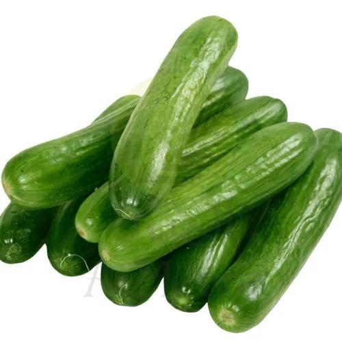 Cucumber Organic 500G