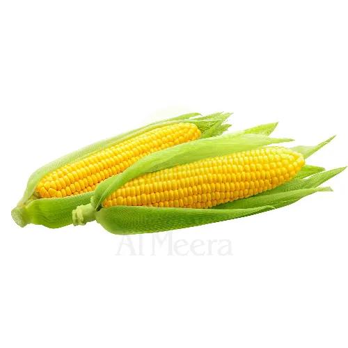 Fresh Corn Iran Approx 1Kg