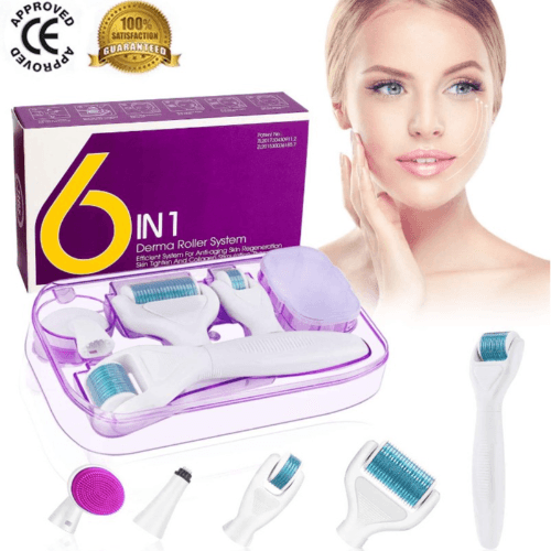 Derma Roller 6 In 1 Set