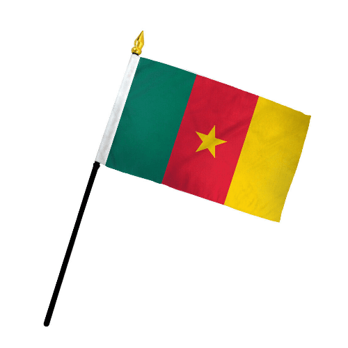 Fans Flag Cameroon  22*15cm