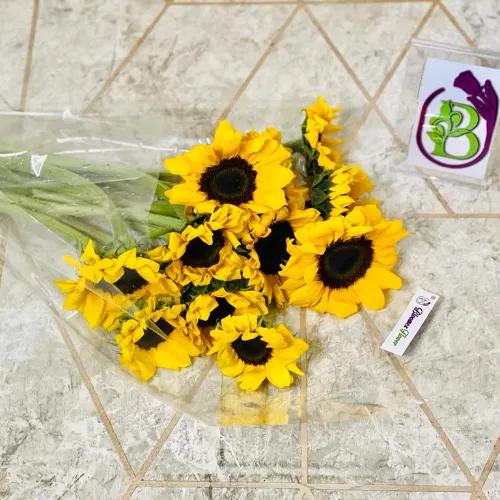 Sunflower - 10 Piece