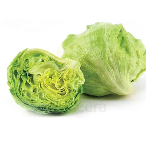 Lettuce Iceberg Jordan Approx 1Kg