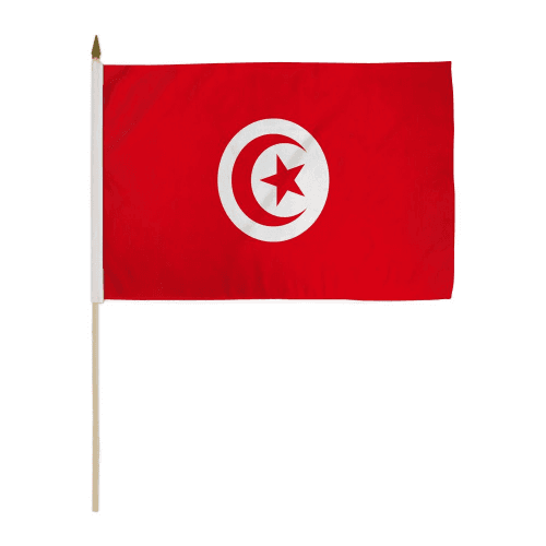 Fans Flag Tunisia  22*15cm