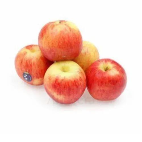 Apple Jazz Approx 1Kg