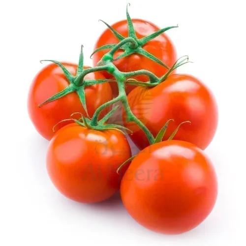 Tomato Bunch Ep Approx 1Kg