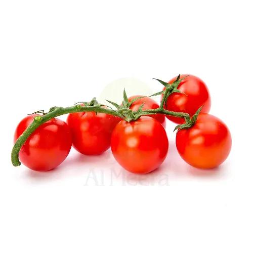 Tomato Cherry Red 500G Pack