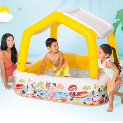 Swimming pool with removable canopy (High quality) .