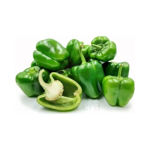 Capsicum Green Oman Approx 500G