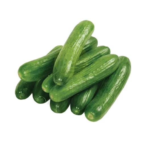 Cucumber Organic Qatar Approx 1Kg