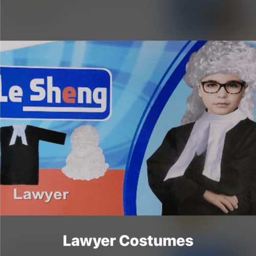 Lawyer Costumes