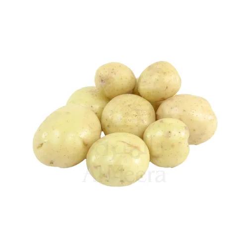 Potato Egy Approx 1Kg