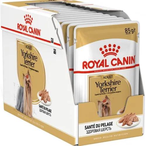 Royal Canin Adult Yorkshire Terrierbox Of 12X85G