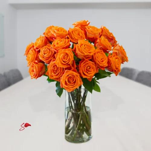 Orange Roses Blooms