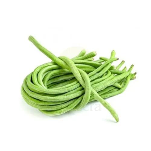 Qatari Premium Long Beans Approx 1Kg