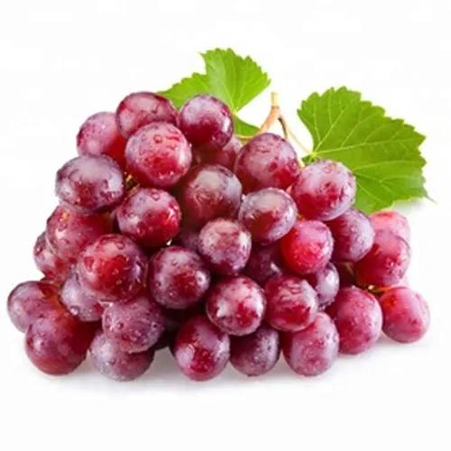 Grapes Red Egy Approx 1Kg