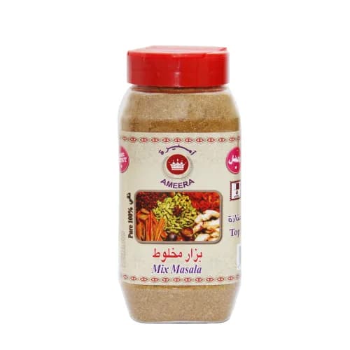 Ameera Mix Masala 250 Gr