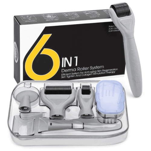 Derma Roller System 6 In 1