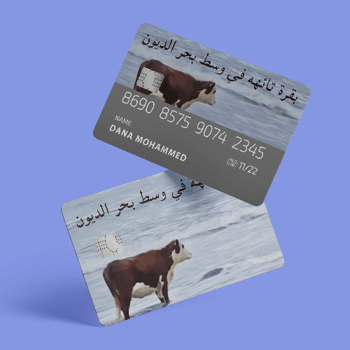 Cow In Debt