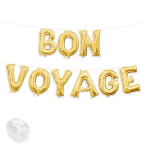 Bonvoyage Banner