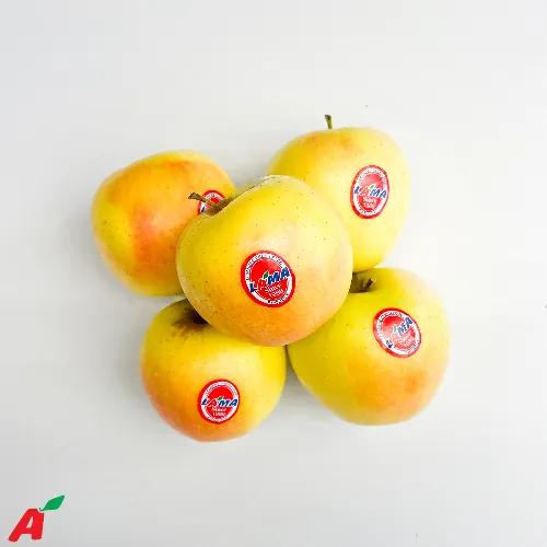 Lama Golden Apple Lebanon 500g