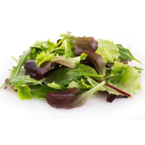 Baby Mesclun Packet Italy 125G Safa